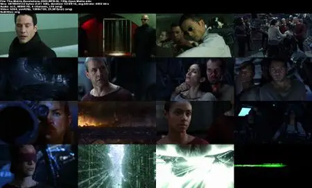 The Matrix Revolutions (2003) [Open Matte]