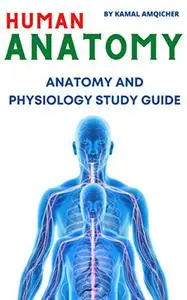 Human Anatomy: Anatomy and Physiology Study Guide