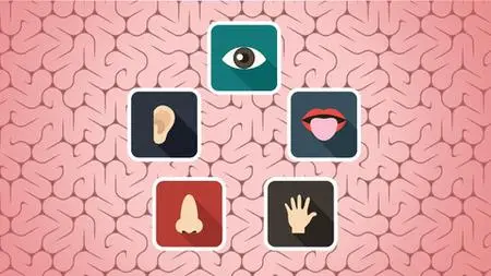 Sensory Explained Simply -- Early Childhood Edition.