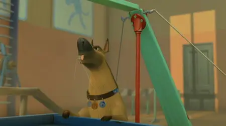 Space dogs (2010)