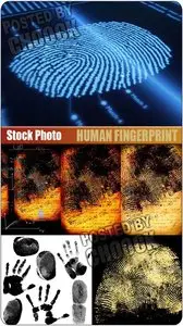 Stock Photo: Human fingerprint