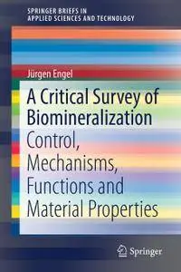 A Critical Survey of Biomineralization: Control, Mechanisms, Functions and Material Properties
