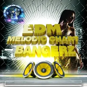 Fox Samples DJ Yasmeen EDM Melodic Chart Bangerz [WAV MiDi]
