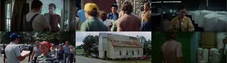 Norma Rae (1979)
