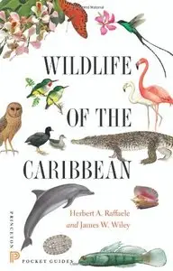 Wildlife of the Caribbean (Princeton Pocket Guides) (Repost)