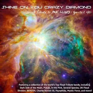 VA - Shine On You Crazy Diamond: A Tribute To Pink Floyd's Greatest Hits (2018) [Official Digital Download]