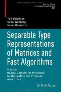 Separable Type Representations of Matrices and Fast Algorithms: Volume 1 [Repost]