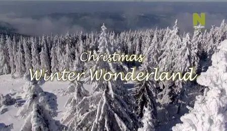 WDR - Christmas Winter Wonderland (2014)