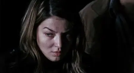 The Whistleblower (2010)