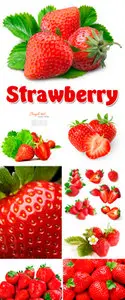 Stock Photo - Strawberry