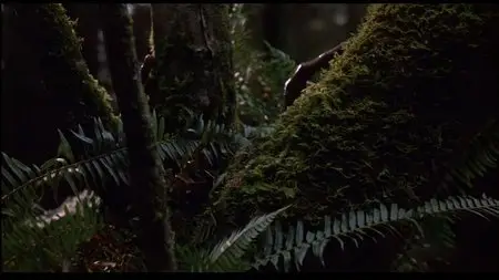 E.T.: The Extra-Terrestrial (1982)