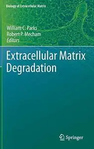 Extracellular Matrix Degradation