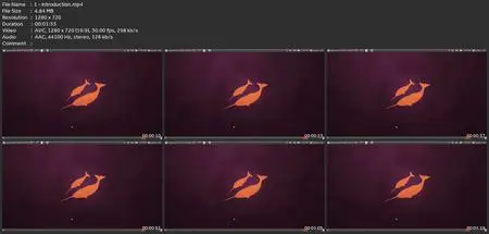 Svelte, Perl, Shell Scripting And C++ Course Bundle