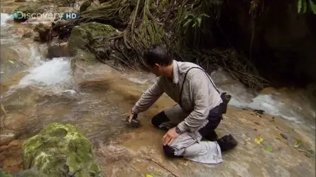 Ultimate Survival (Man vs Wild) Dominican Republic (2009)