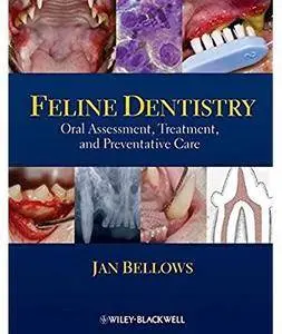 Feline Dentistry: Oral Assessment, Treatment, and Preventative Care [Repost]