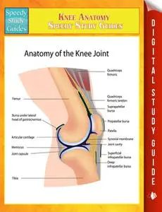 «Knee Anatomy Speedy Study Guides» by Speedy Publishing