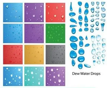 Vector Dew Water Drops