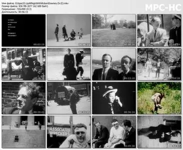 Up All Night with Robert Downey Sr. (1964-1975) [The Criterion Collection, Eclipse Series 33]