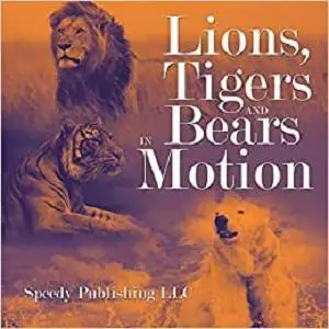 Lions, Tigers And Bears In Motion