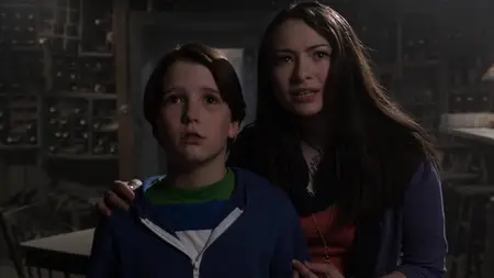 Home Alone: The Holiday Heist (2012) [MultiSubs]