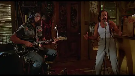 Cheech and Chong's Next Movie (1980)