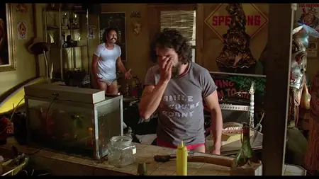 Cheech and Chong's Next Movie (1980)