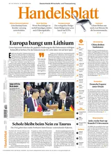 Handelsblatt  - 19 November 2024