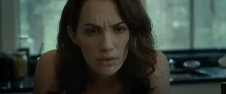 Hush (2016) [MultiSubs]