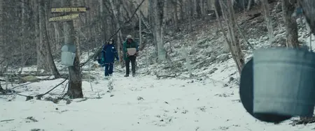 Werewolves Within (2021)