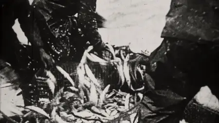 The Fish Thief: A Great Lakes Mystery (2025)