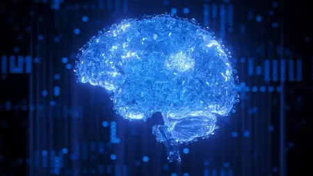 Neural Networks with Python : 1