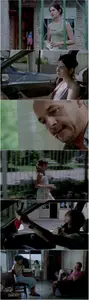 A Red Bear (2002) Un oso rojo