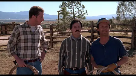 City Slickers (1991)