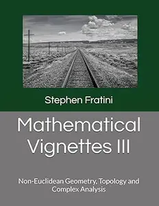 Mathematical Vignettes III: Non-Euclidean Geometry, Topology and Complex Analysis