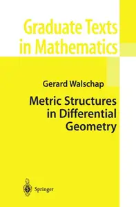 Metric Structures in Differential Geometry