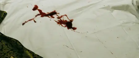Deception (2008)