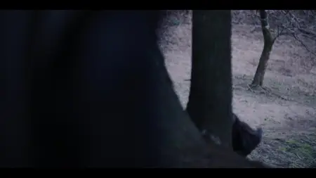 Gannibal S02E06