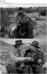 The Westerner (1940)