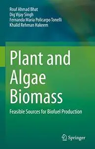 Plant and Algae Biomass: Feasible Sources for Biofuel Production