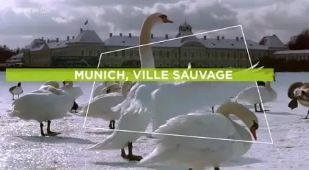 (Arte) Munich, ville sauvage (2013)