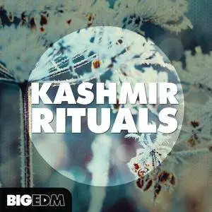 Big EDM Kashmir Rituals WAV SYLENTH1