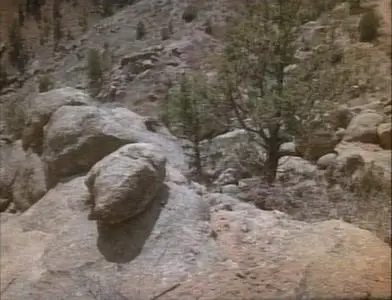 The White Buffalo (Charles Bronson) 1977