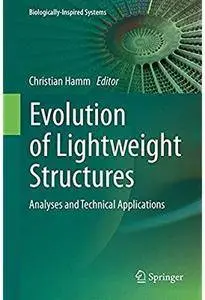 Evolution of Lightweight Structures: Analyses and Technical Applications [Repost]