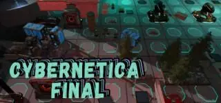 Cybernetica Final (2021)