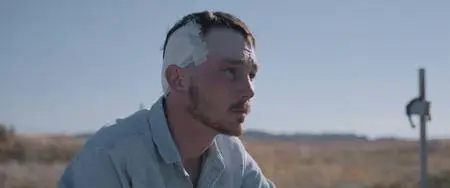 The Rider (2017)