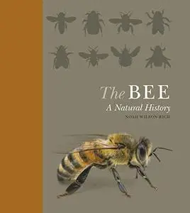 The Bee: A Natural History