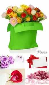 roses collection
