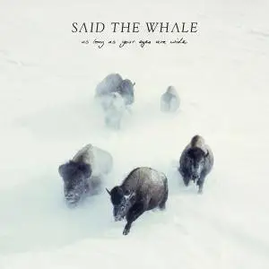 Said the Whale - As Long as Your Eyes Are Wide (2017)