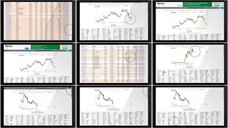 Udemy - Stock market Investing Encyclopedia: How to invest in stocks