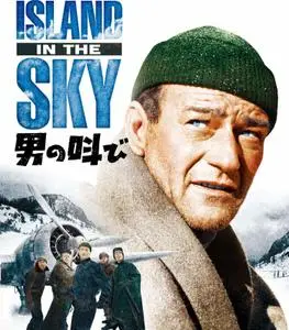 Island in the Sky (1953)